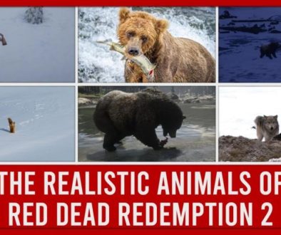 Red Dead Redemption 2 Gets Fan-Made Nature Documentary