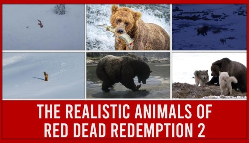 Red Dead Redemption 2 Gets Fan-Made Nature Documentary